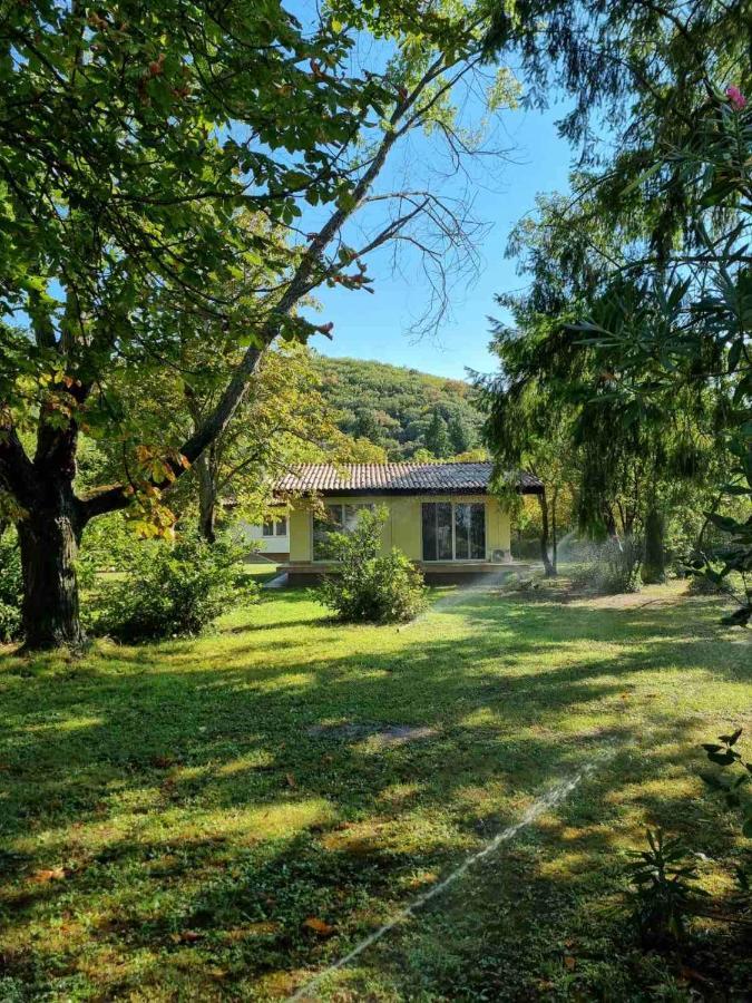 Fuk-Tak'S Bungalow Dojran Eksteriør bilde