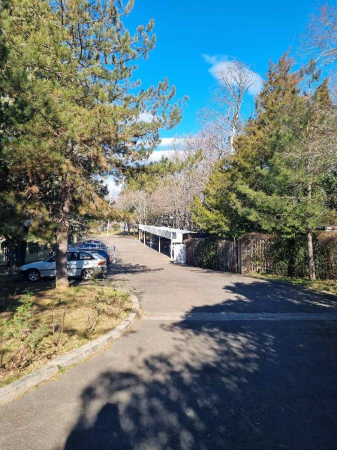 Fuk-Tak'S Bungalow Dojran Eksteriør bilde