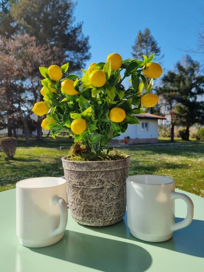 Fuk-Tak'S Bungalow Dojran Eksteriør bilde